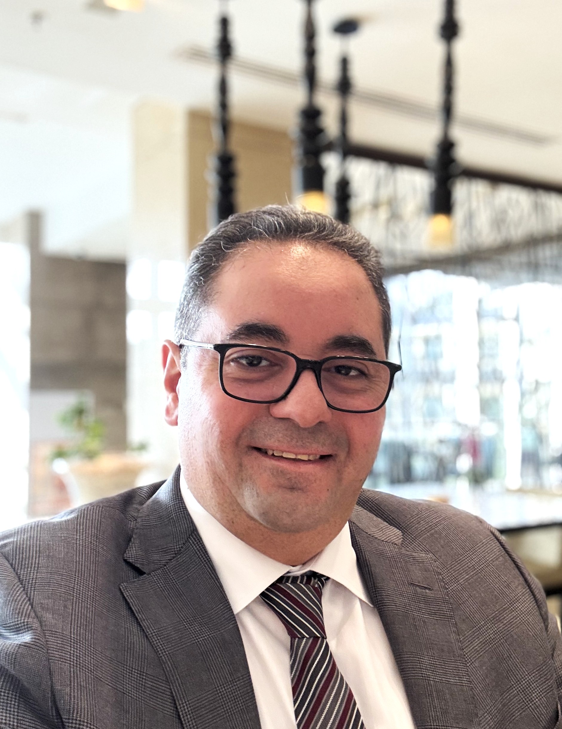 Mr. Tamer  Elleisi